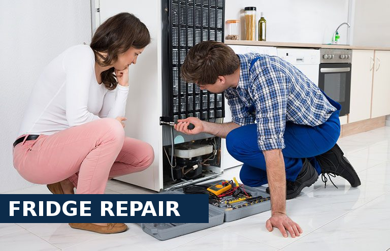 Fridge Repair Egham